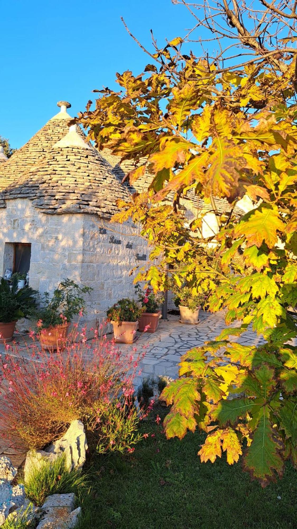 La Rosa Dei Trulli B&B Alberobello Exterior photo