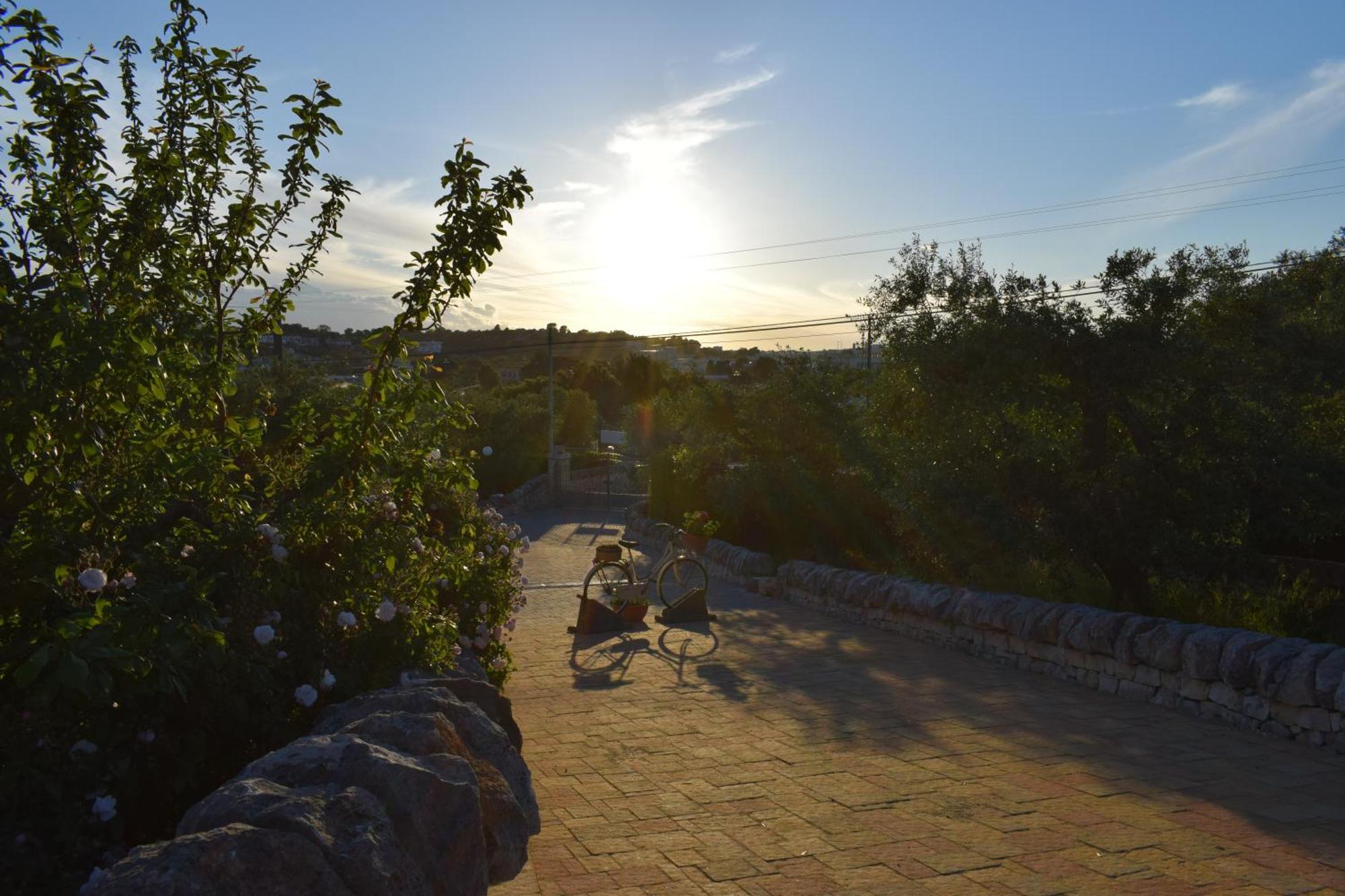 La Rosa Dei Trulli B&B Alberobello Exterior photo